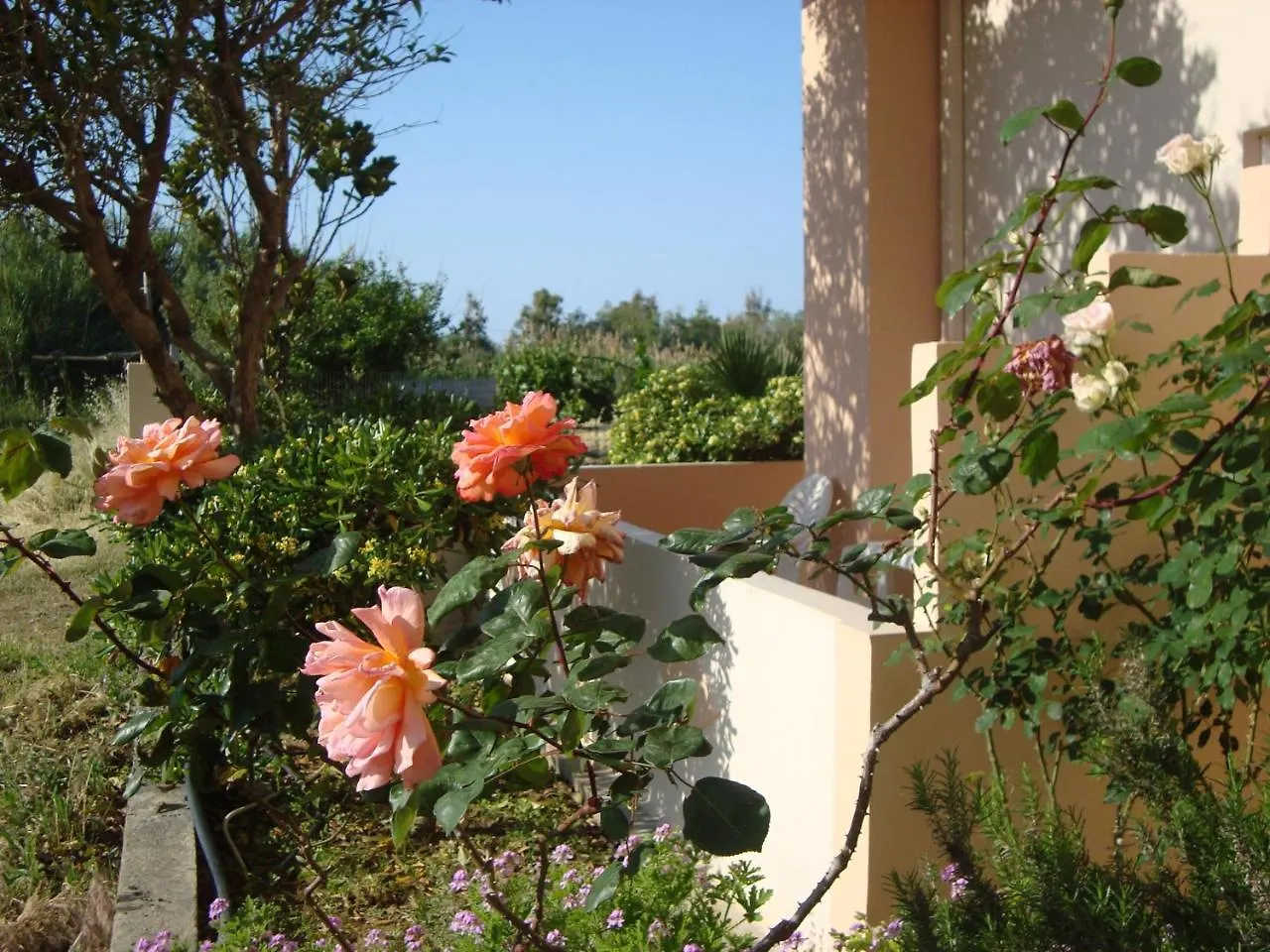 Hotel Athina Retimno Grecja